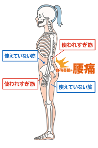 541ee2ca-a634-48b2-b0a3-5f5aeb16e013